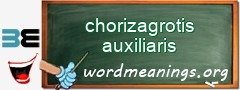 WordMeaning blackboard for chorizagrotis auxiliaris